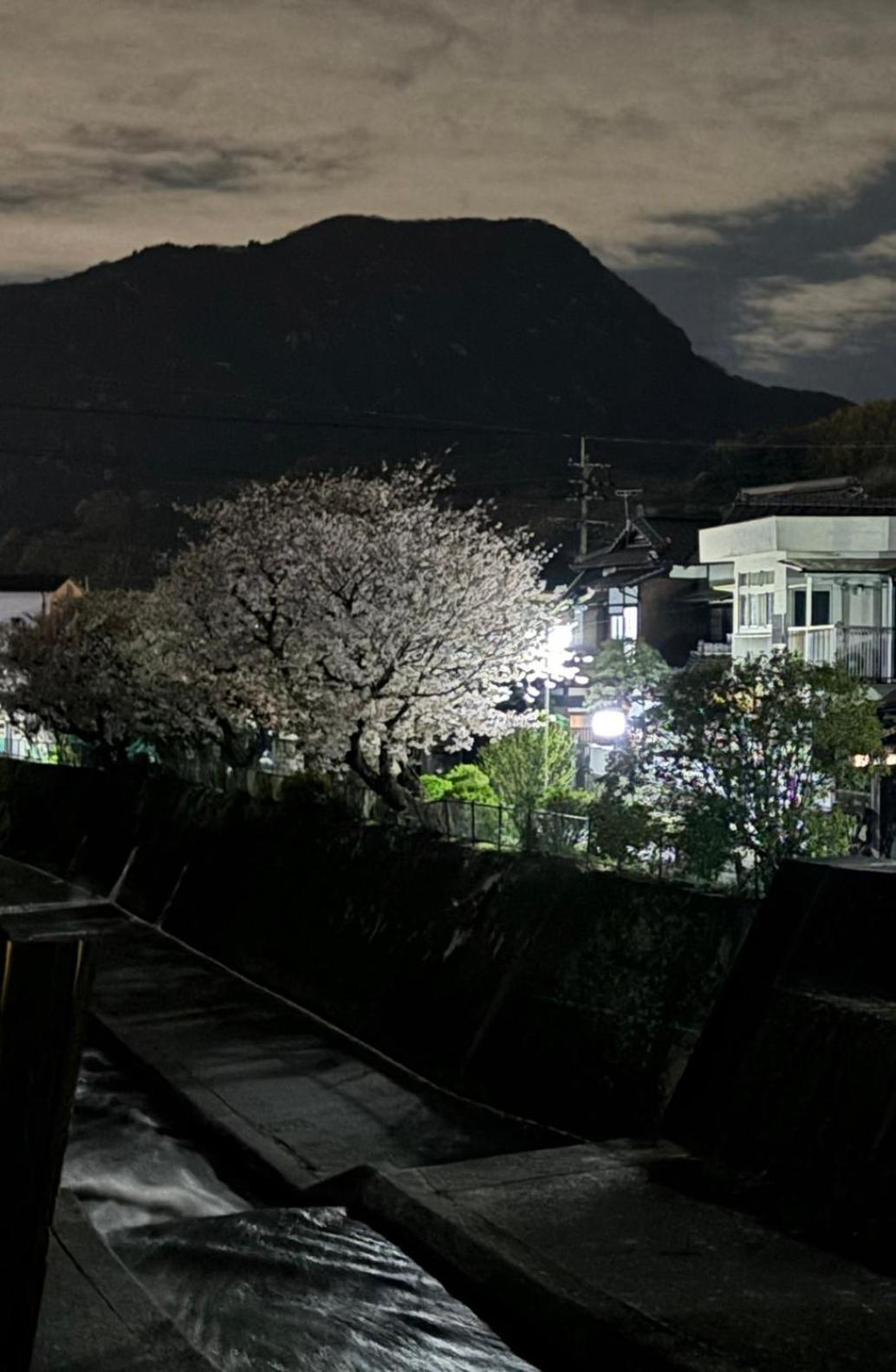 Guesthouse Sakichi Beppu Exteriér fotografie