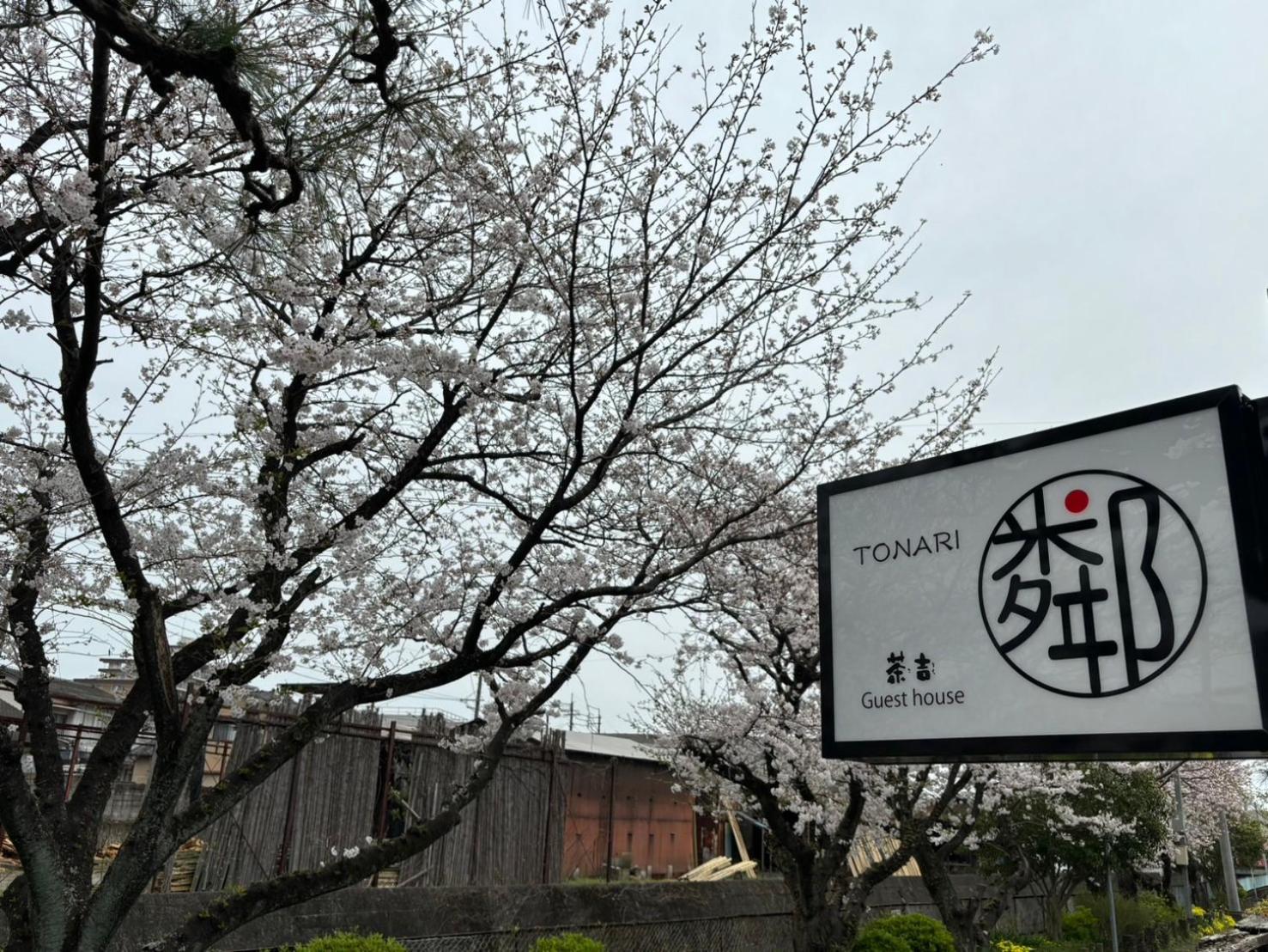 Guesthouse Sakichi Beppu Exteriér fotografie