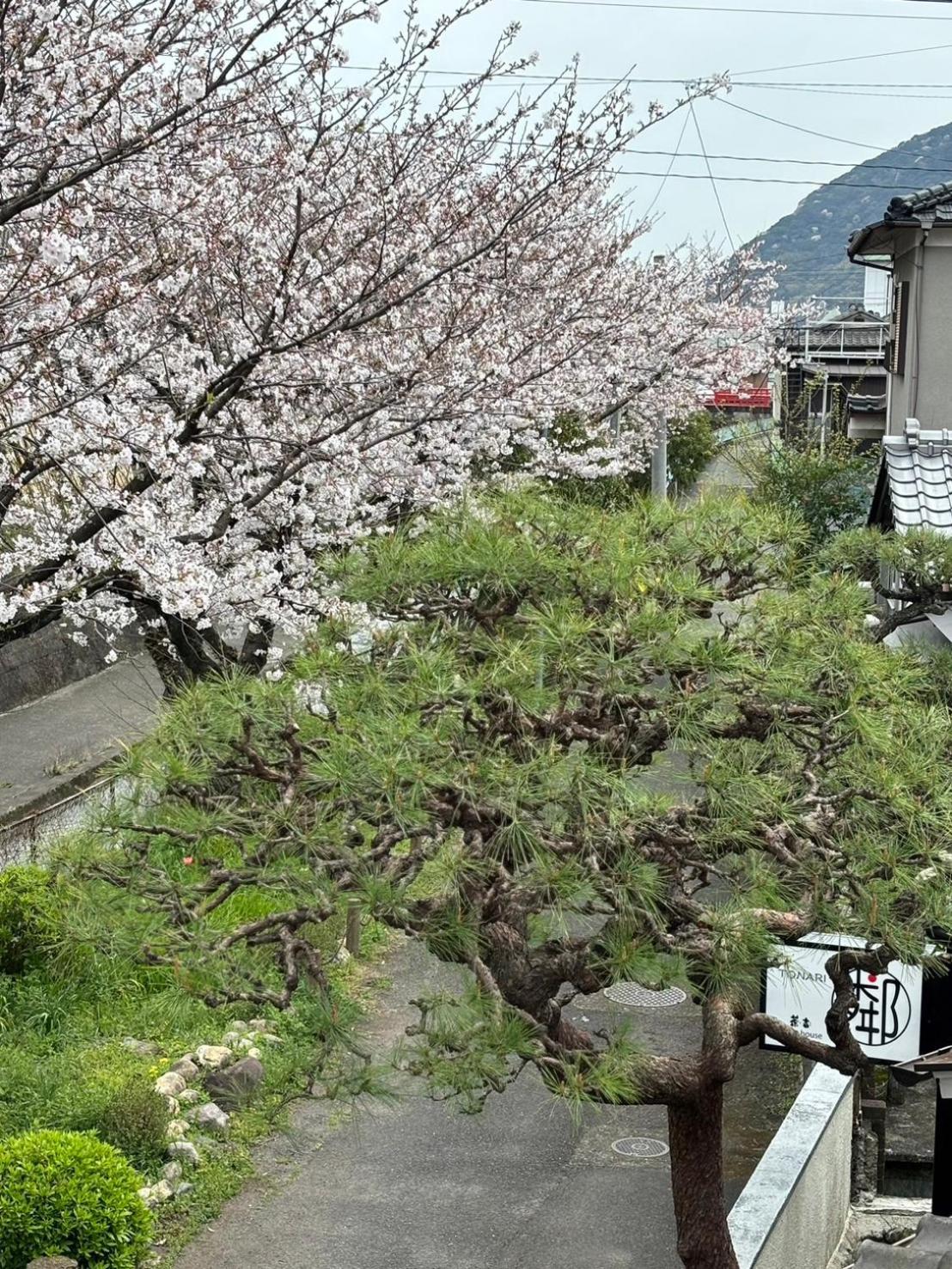 Guesthouse Sakichi Beppu Exteriér fotografie